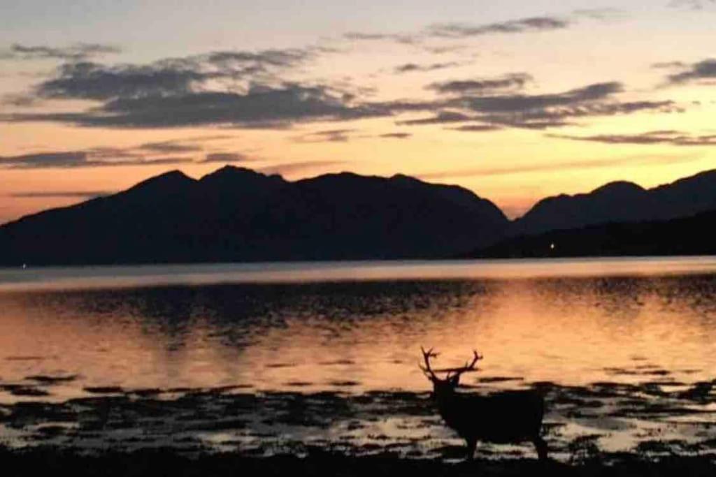 The Fox'S Den, Luxury Cosy Mini Lodge, Highlands North Ballachulish Exteriér fotografie