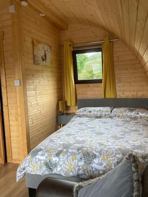 The Fox'S Den, Luxury Cosy Mini Lodge, Highlands North Ballachulish Exteriér fotografie