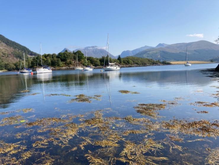The Fox'S Den, Luxury Cosy Mini Lodge, Highlands North Ballachulish Exteriér fotografie